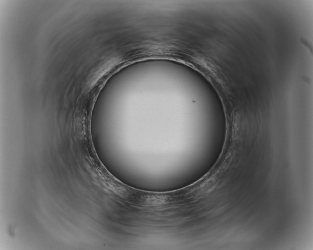 X0000103141211200808221208