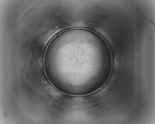 X0000103141212200808221208