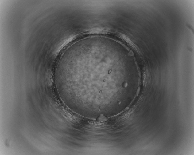 X0000103141213200808221208