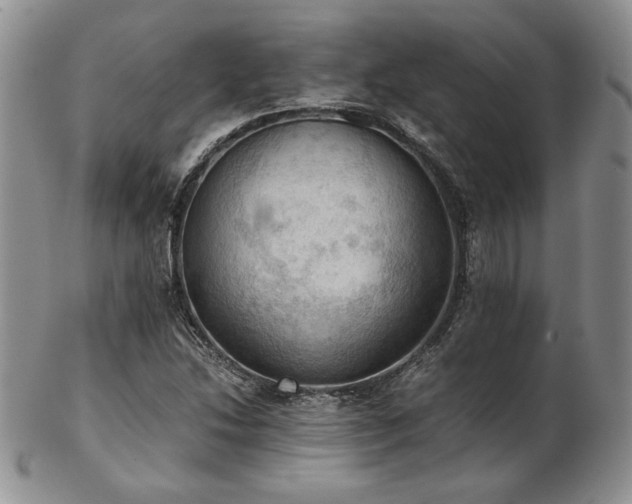 X0000103141214200808221208