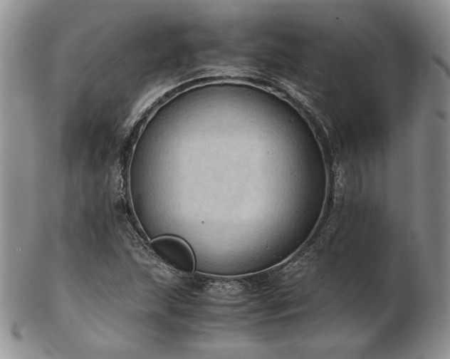 X0000103141215200808221208