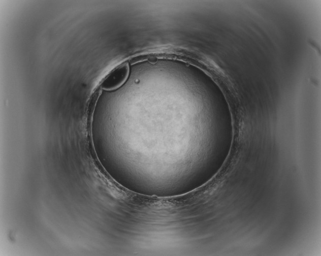 X0000103141216200808221208