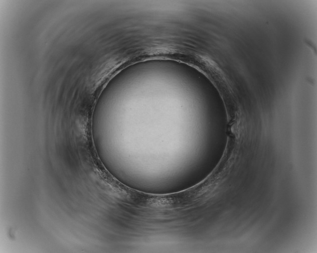 X0000103141217200808221209