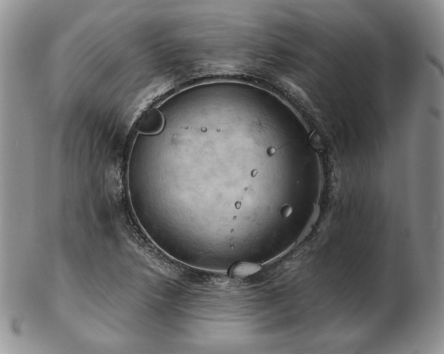 X0000103141218200808221209