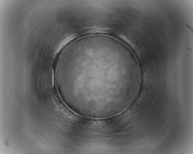 X0000103141219200808221209