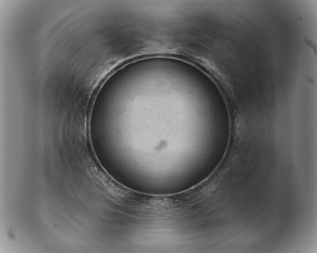 X0000103141220200808221209