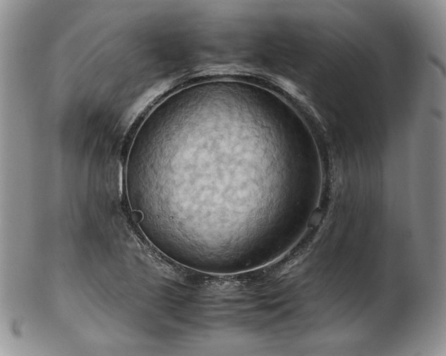 X0000103141221200808221209