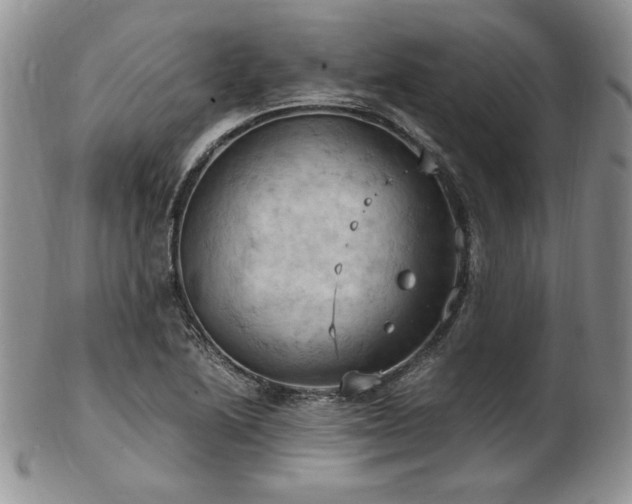 X0000103141222200808221209