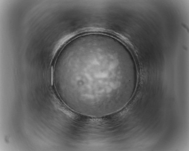 X0000103141223200808221209