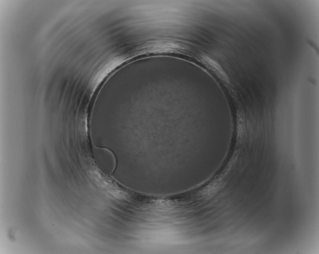 X0000103141226200808221209