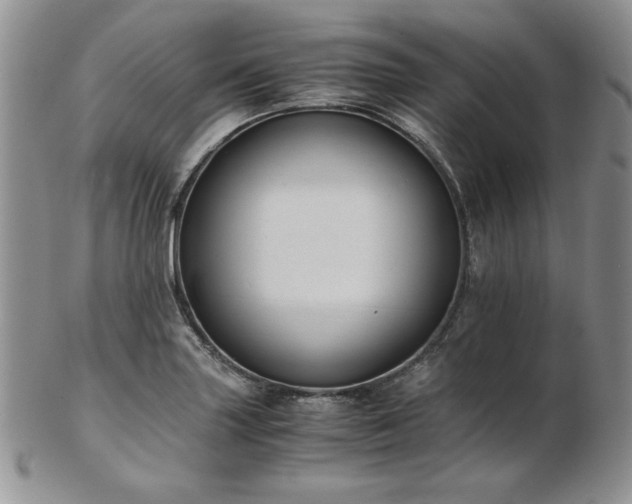 X0000103141227200808221209