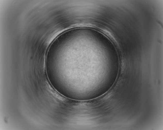 X0000103141228200808221209