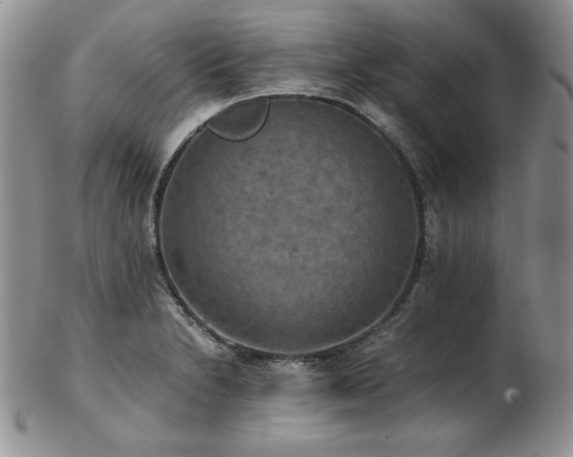 X0000103141230200808221209