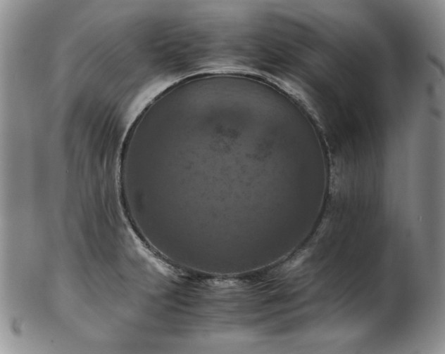 X0000103141231200808221209