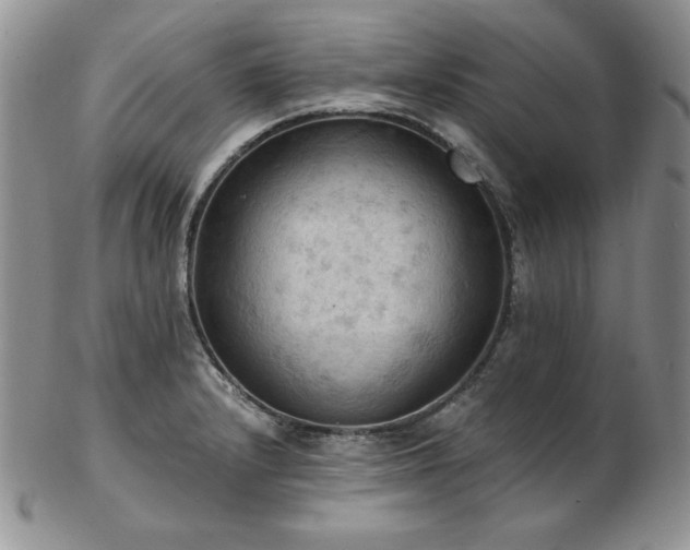 X0000103141232200808221209