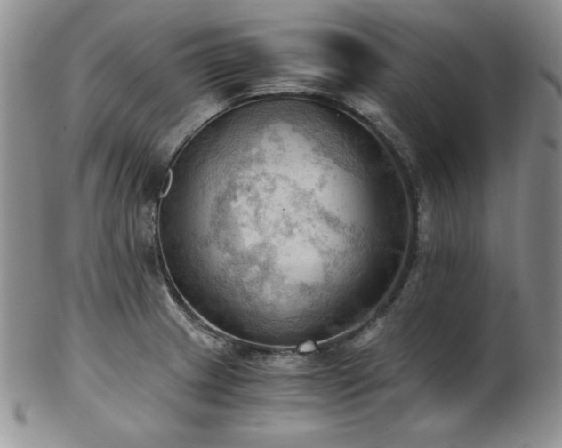 X0000103141233200808221209