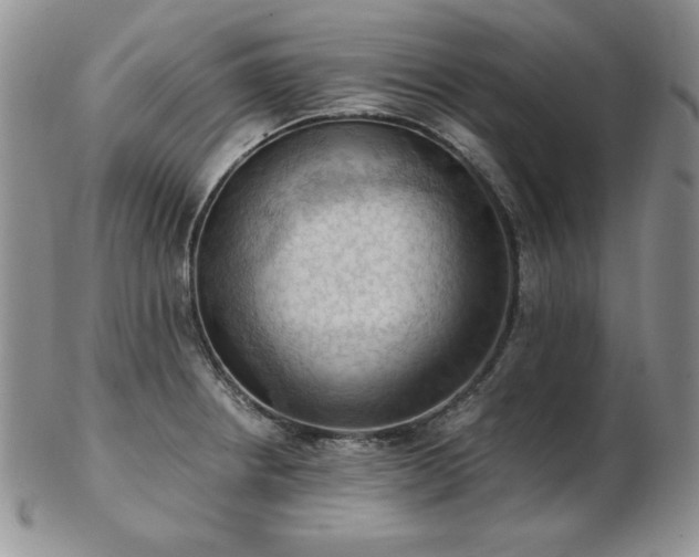 X0000103141234200808221209