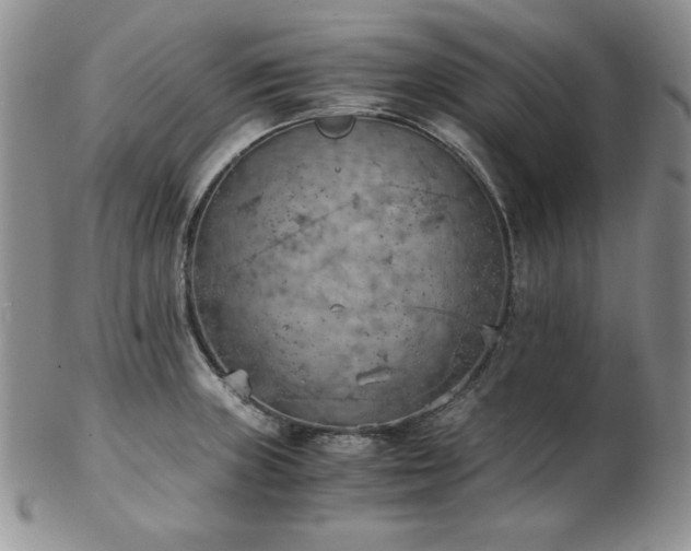 X0000103141235200808221209