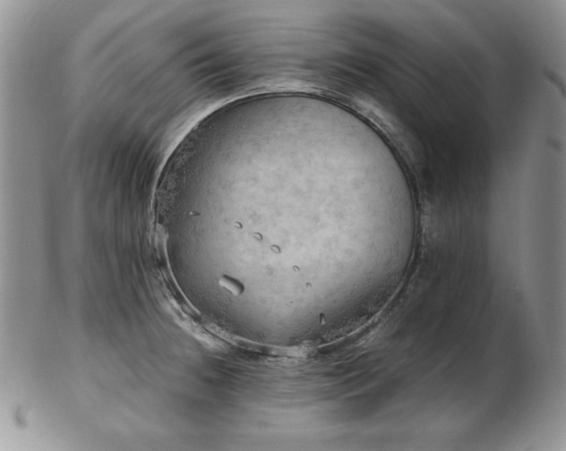 X0000103141236200808221209