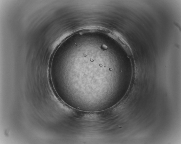 X0000103141237200808221209