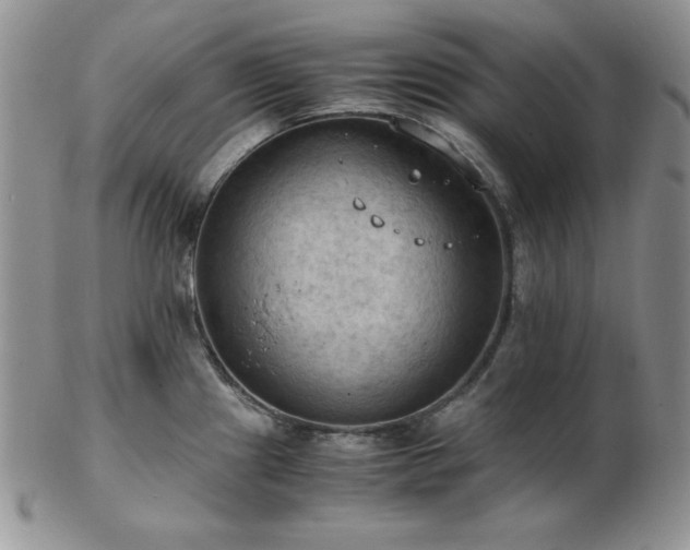 X0000103141241200808221209