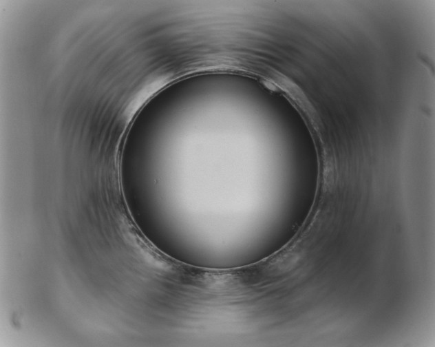 X0000103141242200808221209