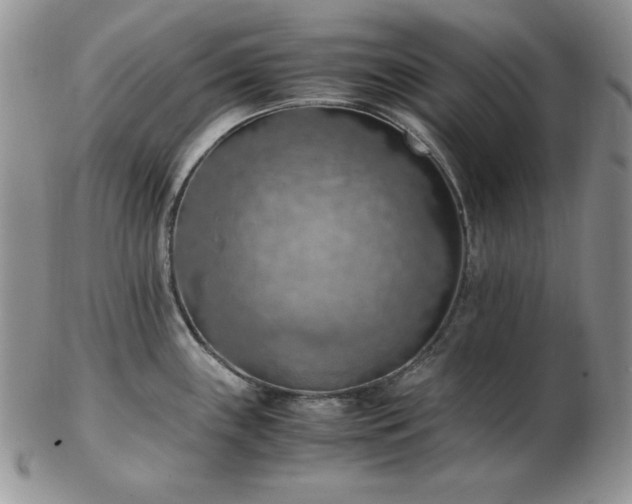 X0000103141243200808221209