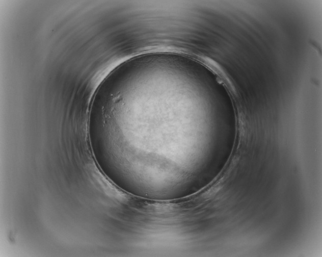 X0000103141244200808221209