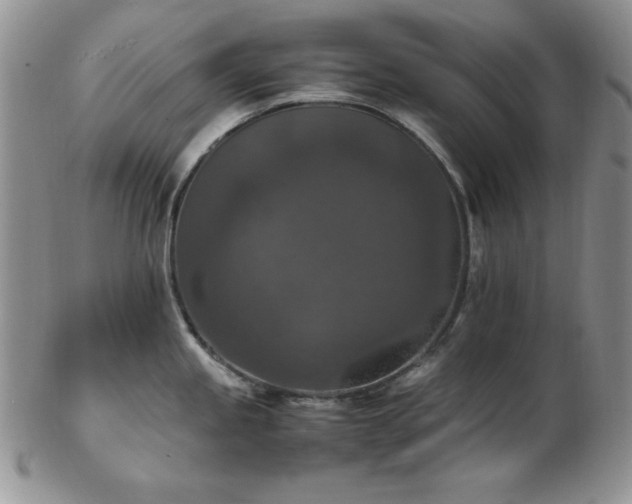 X0000103141245200808221209