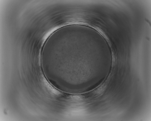 X0000103141246200808221209