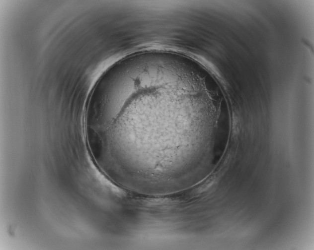 X0000103141247200808221209