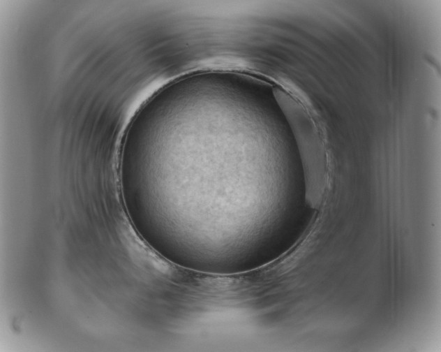 X0000103141248200808221209