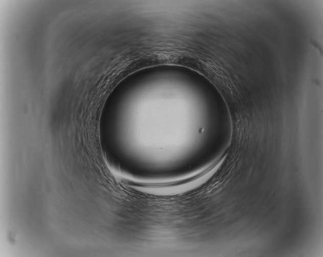 X0000103141249200808221208