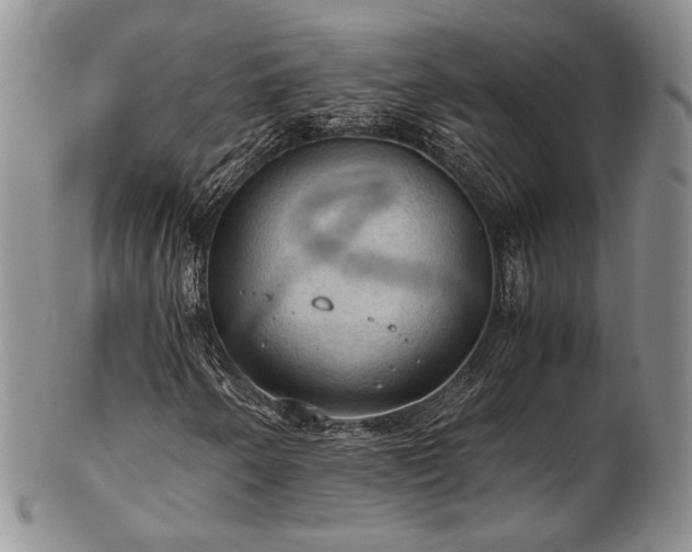 X0000103141250200808221208