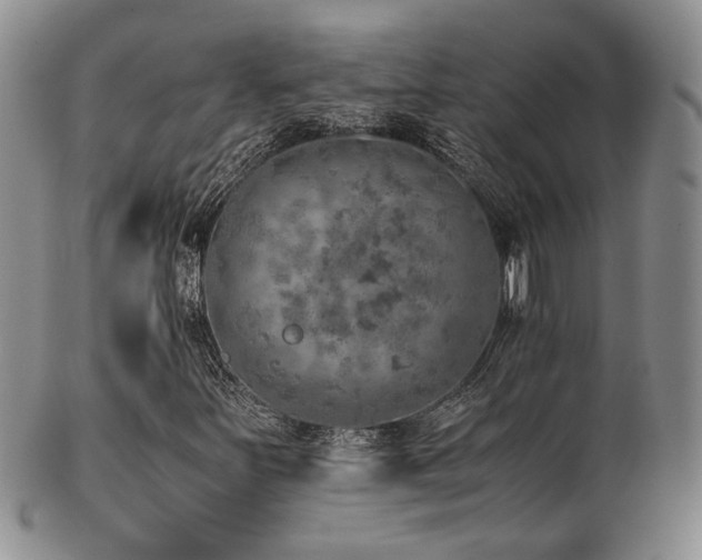 X0000103141251200808221208