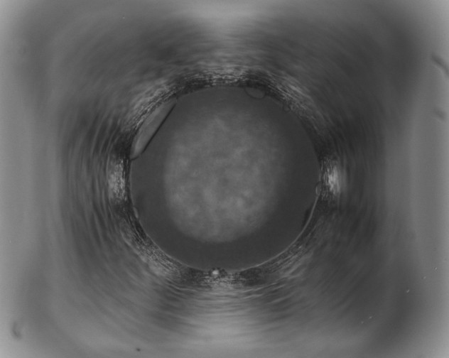 X0000103141252200808221208