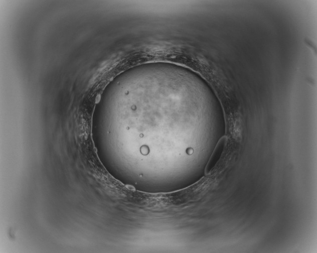 X0000103141253200808221208