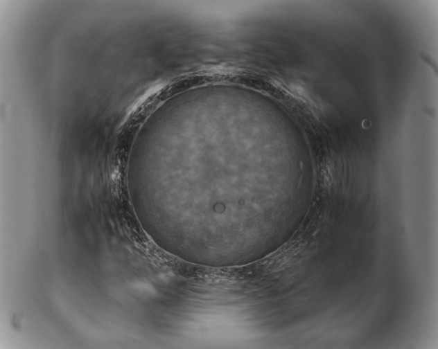 X0000103141254200808221208