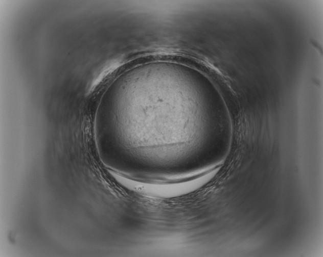 X0000103141255200808221208