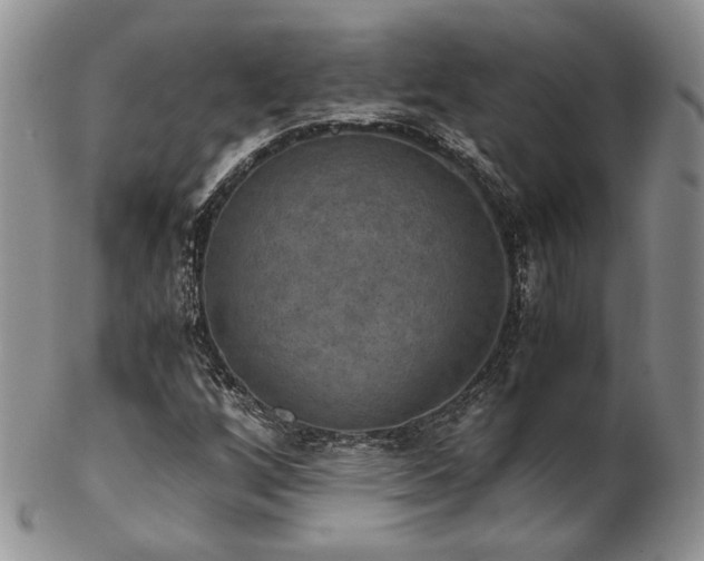 X0000103141256200808221208