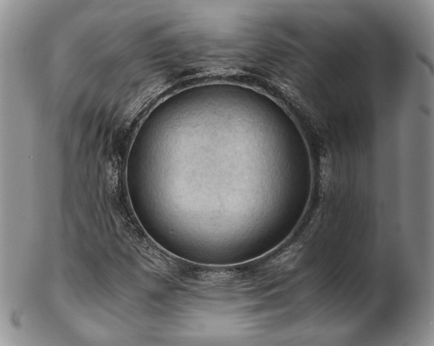 X0000103141257200808221208