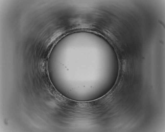 X0000103141258200808221208