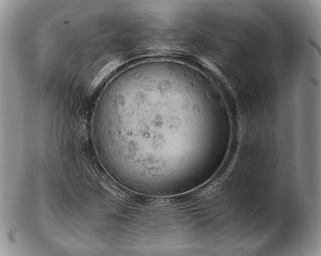 X0000103141259200808221208