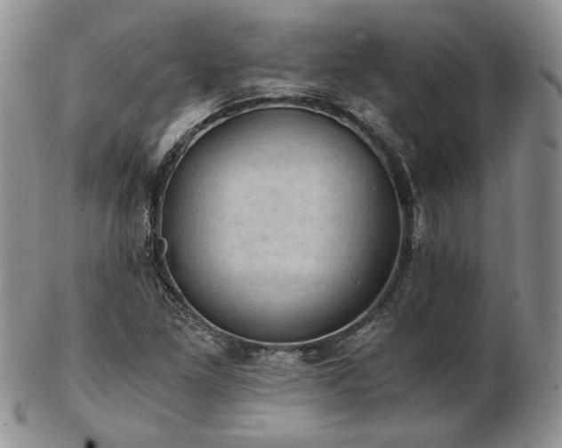 X0000103141261200808221208