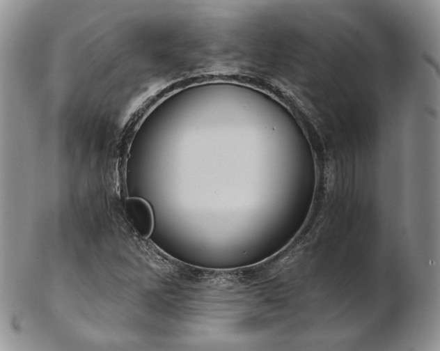 X0000103141262200808221208