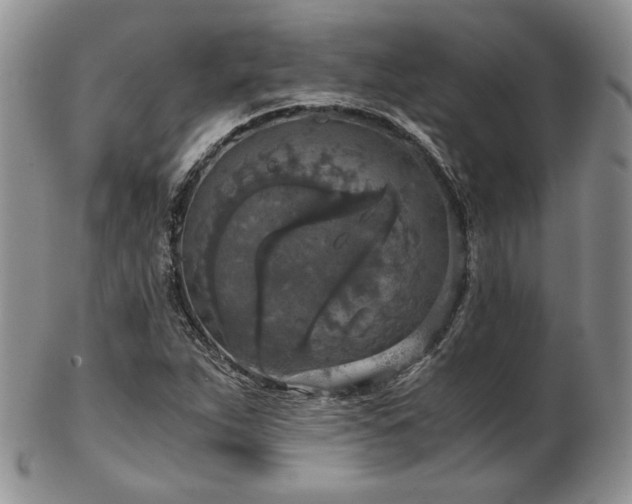 X0000103141263200808221208