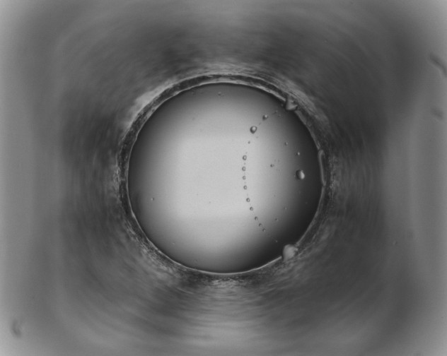 X0000103141264200808221208