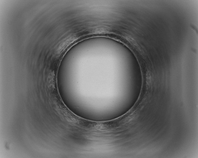 X0000103141265200808221208