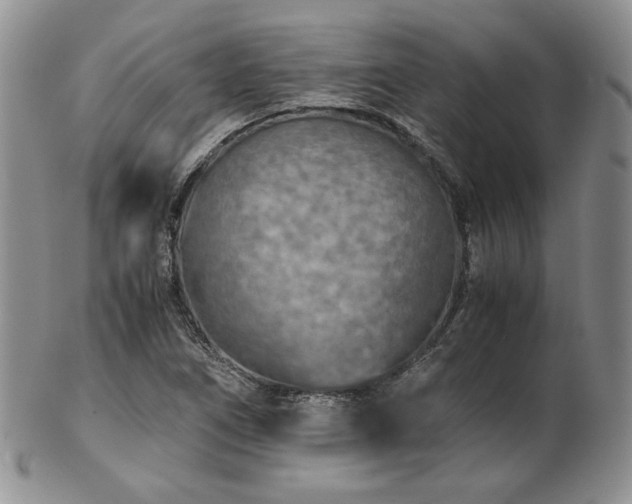 X0000103141266200808221208