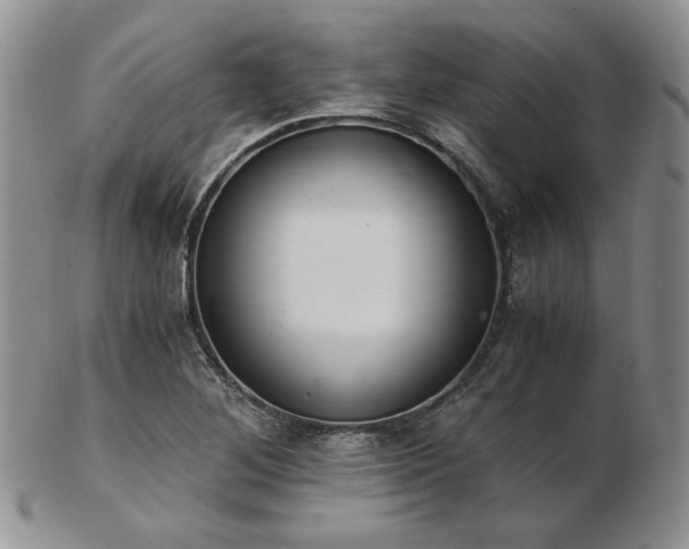 X0000103141268200808221208